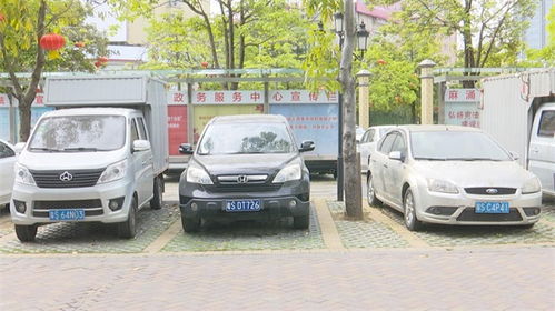 保安服務(wù) 東莞麻涌鎮(zhèn)構(gòu)筑和諧社區(qū)的中堅力量