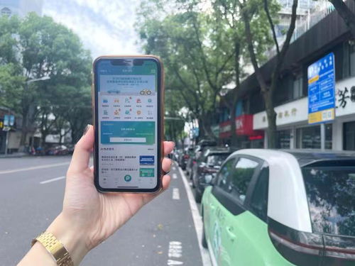 寧波停車大管家 全城通停，累計服務超4億次