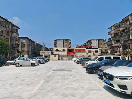 今起臺州多個停車場實行收費管理并配備保安服務